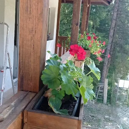 Къща За Гости Балканът Shipkovo (Lovech)