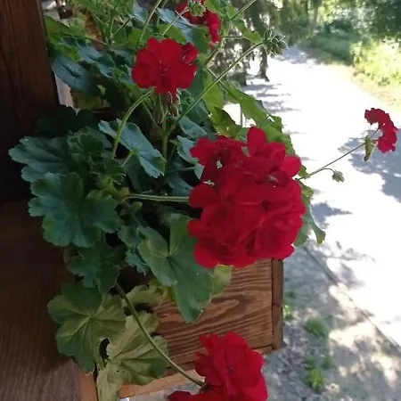 Къща За Гости Балканът